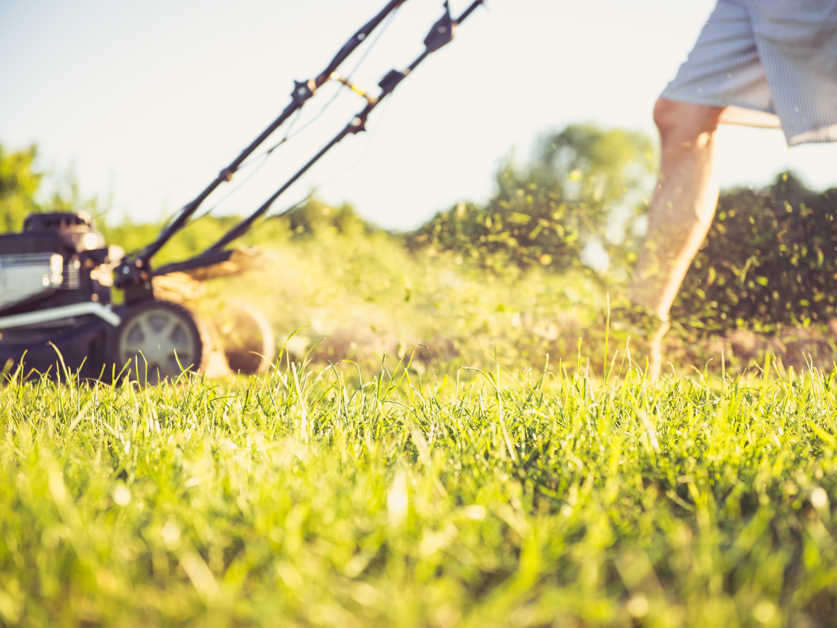 Cutting grass without a lawn online mower