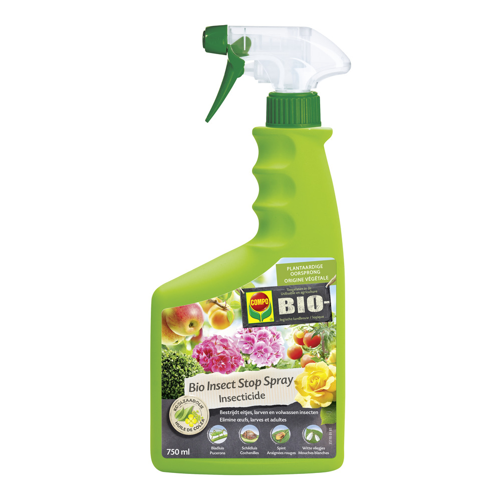 Insecticide Mouches du terreau Décamp® spray 500 ml pour insectes des  plantes en pots : mouches, moucherons - ISI-Jardin